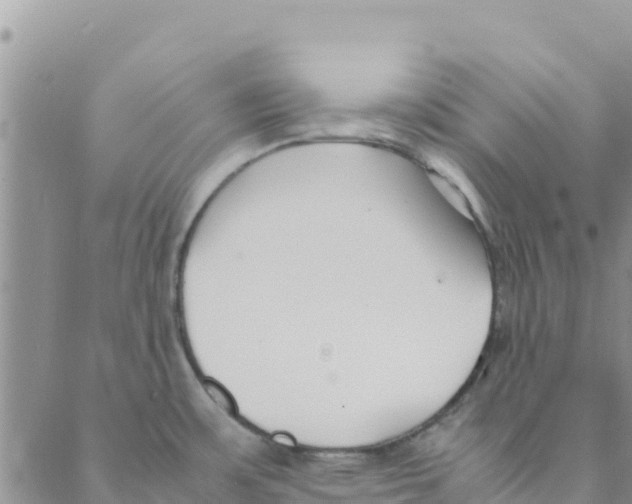 X0000088171483200706121614