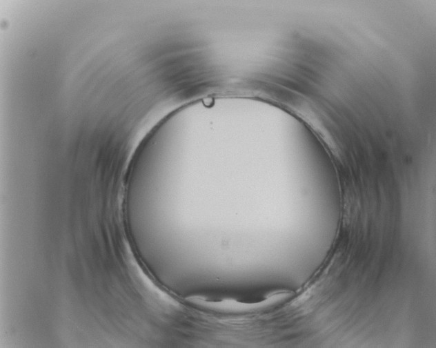 X0000088171484200706121614