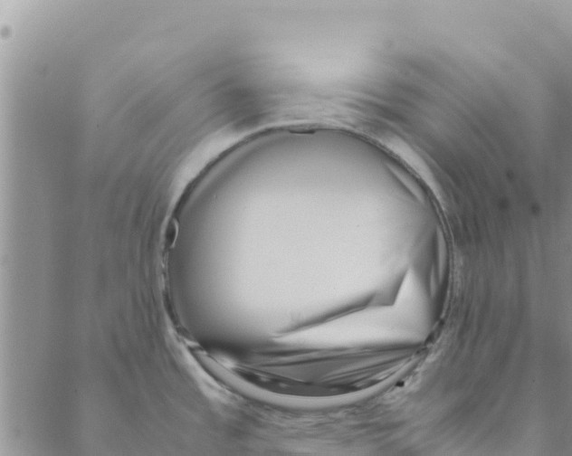 X0000088171485200706121613