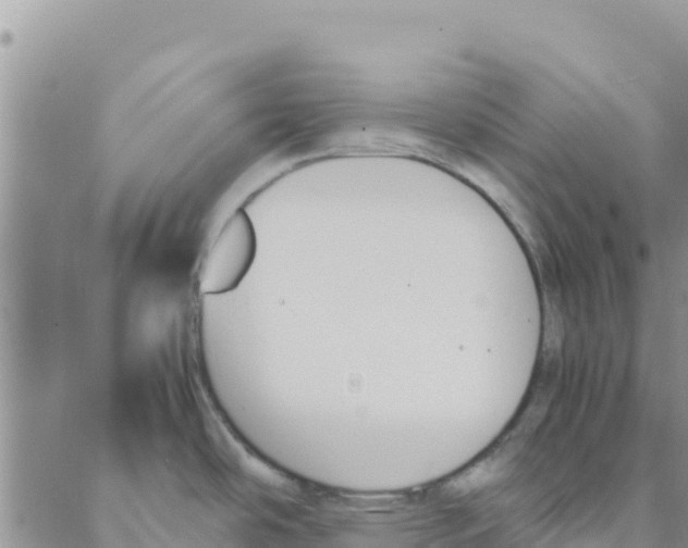 X0000088171486200706121613