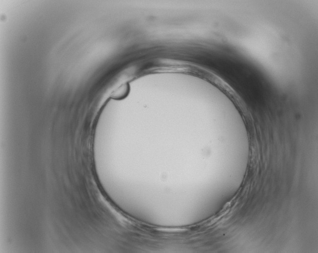 X0000088171487200706121613