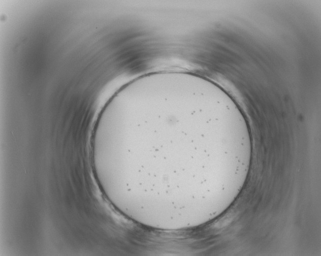 X0000088171488200706121613