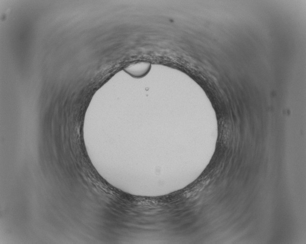 X0000088171489200706121613