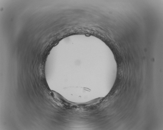 X0000088171490200706121613