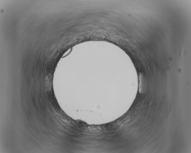 X0000088171491200706121613