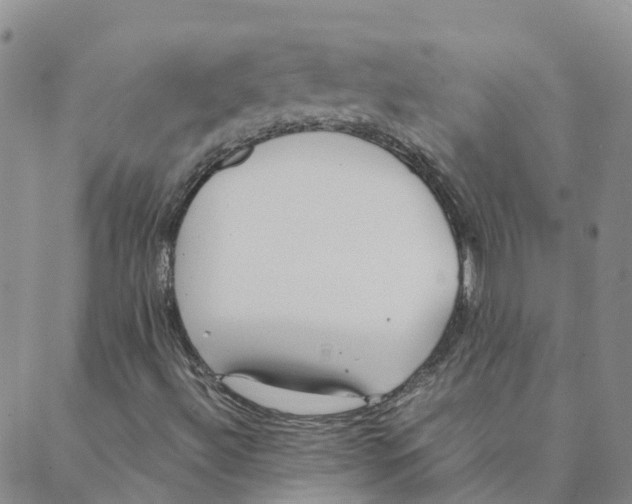 X0000088171492200706121613