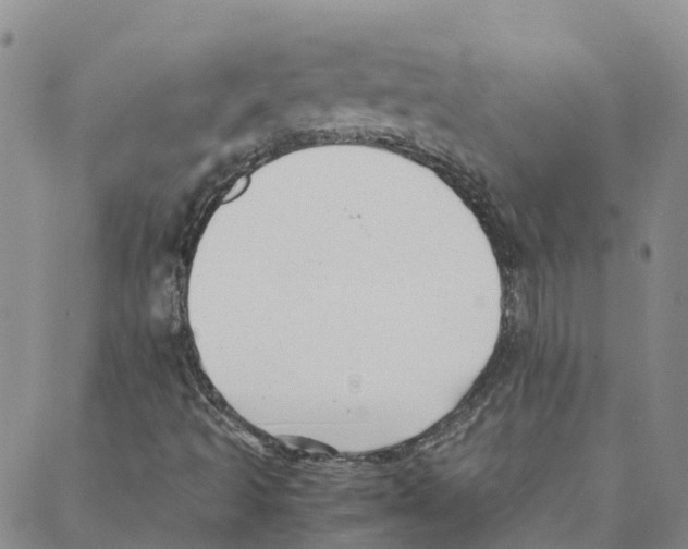 X0000088171493200706121613