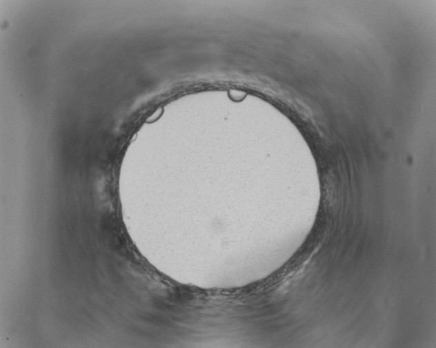 X0000088171494200706121613