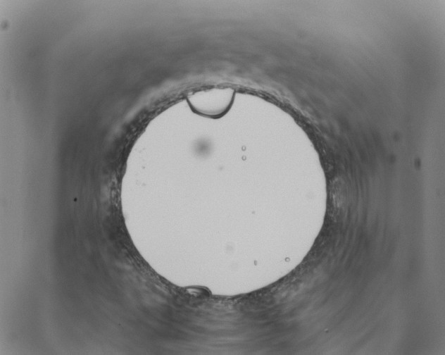 X0000088171495200706121613