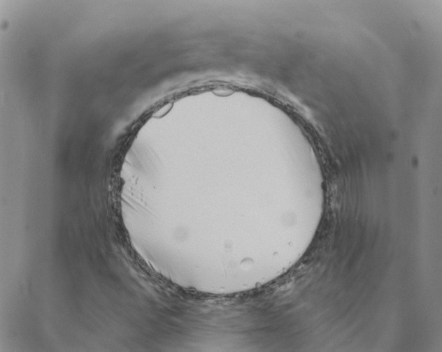 X0000088171496200706121613