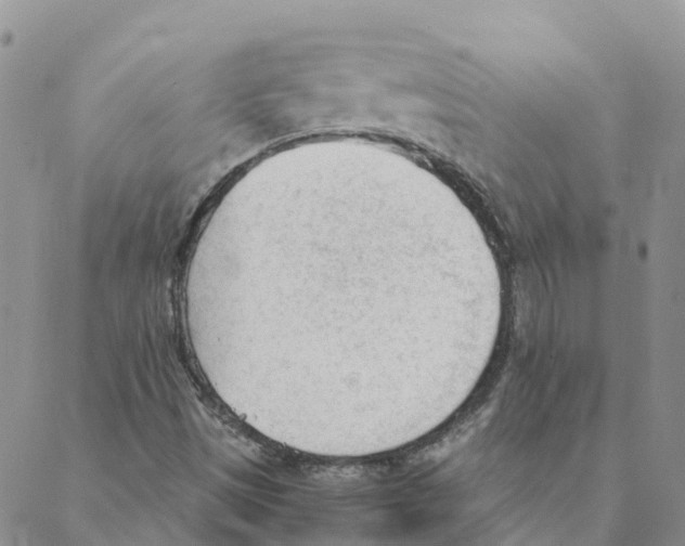 X0000088171497200706121613