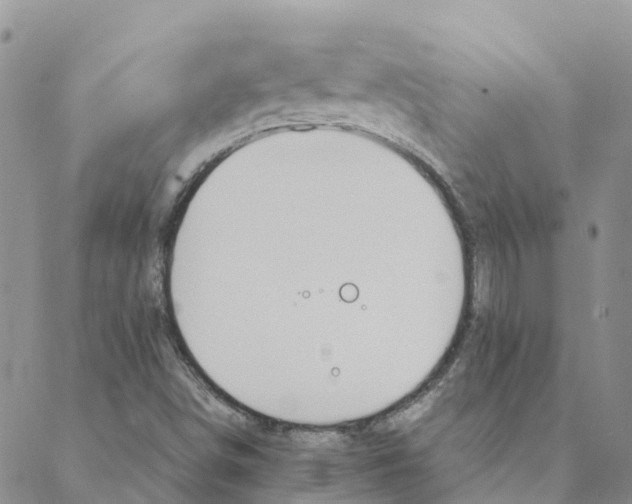 X0000088171498200706121613