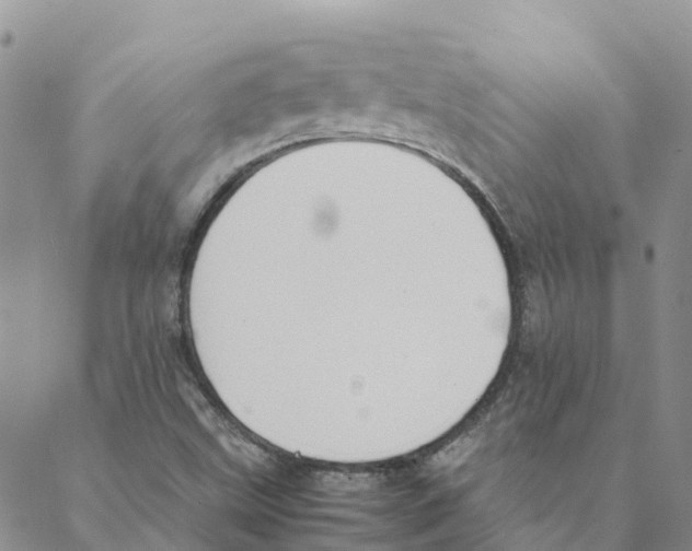 X0000088171499200706121613