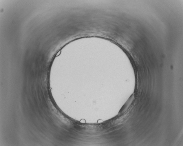 X0000088171500200706121613