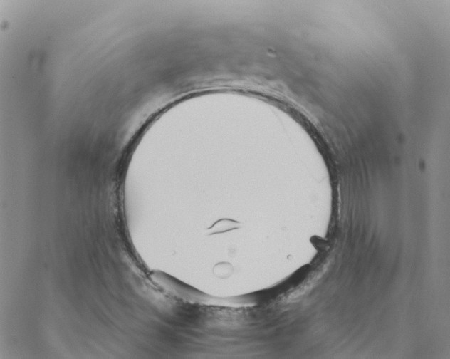 X0000088171501200706121613