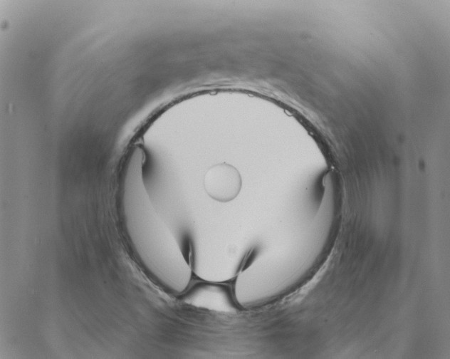 X0000088171502200706121613