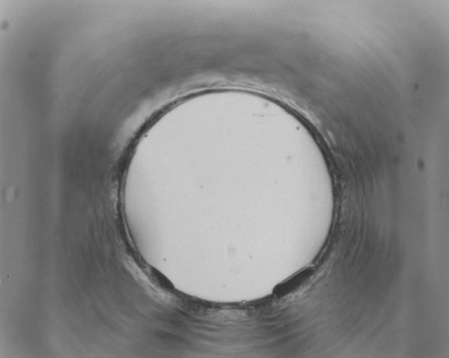 X0000088171503200706121613