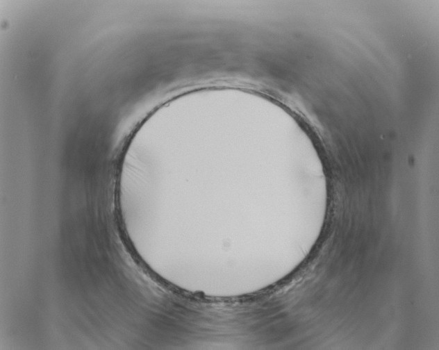 X0000088171504200706121613