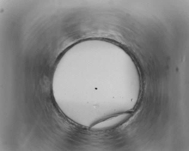 X0000088171505200706121613