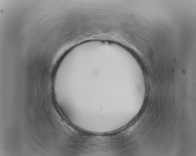 X0000088171506200706121613