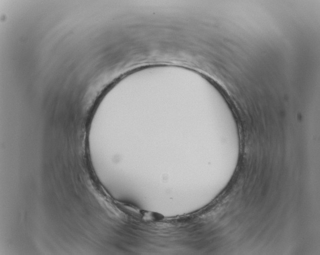 X0000088171507200706121613