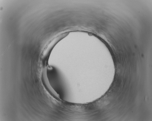 X0000088171508200706121613