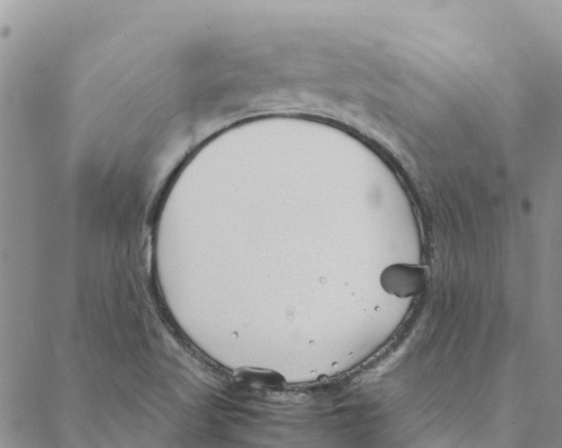 X0000088171509200706121613