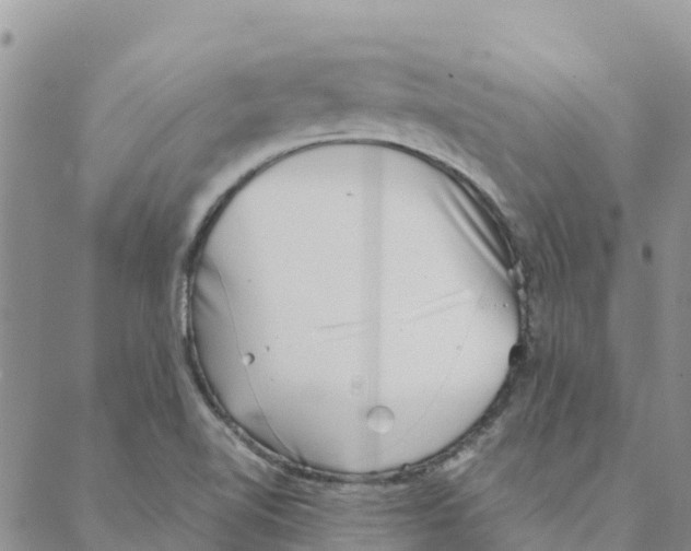 X0000088171510200706121613