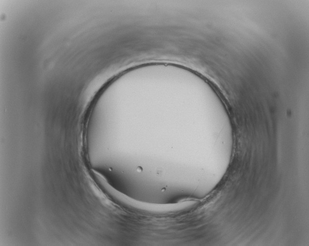 X0000088171511200706121613