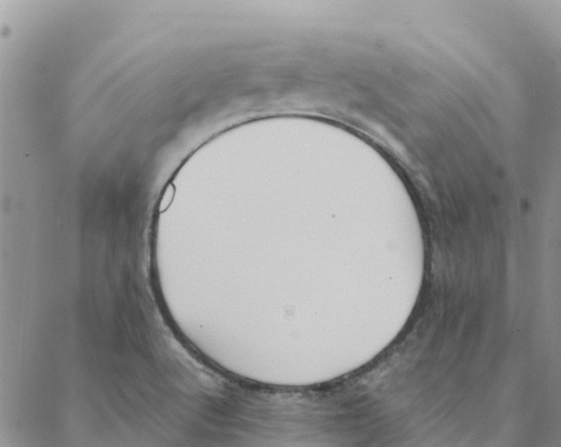 X0000088171512200706121613