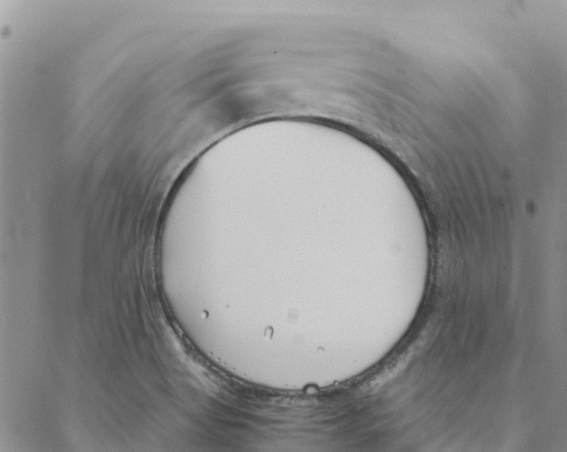 X0000088171513200706121613