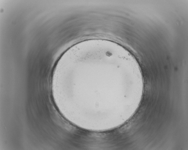 X0000088171514200706121613