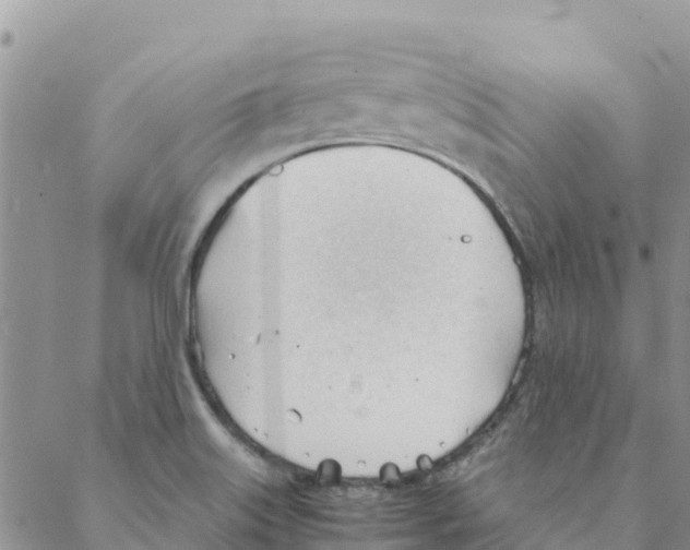 X0000088171515200706121613