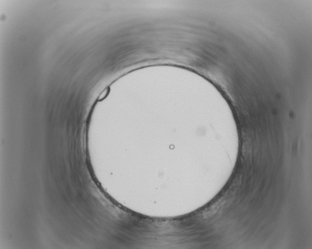 X0000088171516200706121613