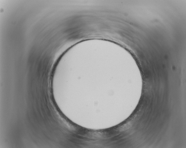 X0000088171517200706121613