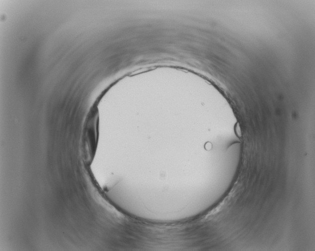 X0000088171518200706121613