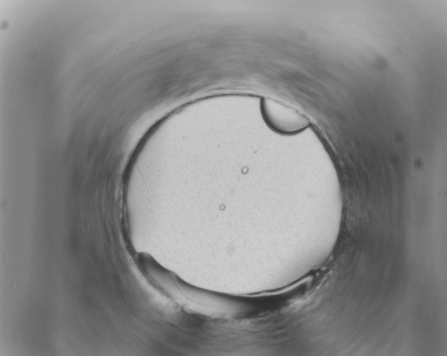 X0000088171519200706121613