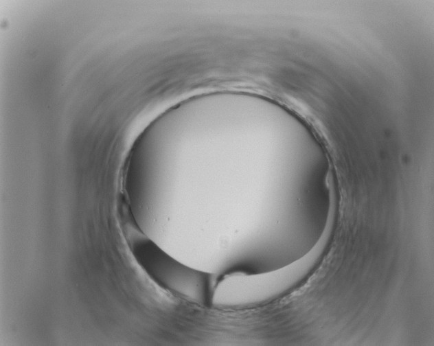 X0000088171520200706121613