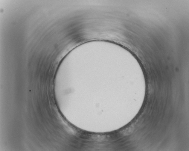 X0000088171521200706121613