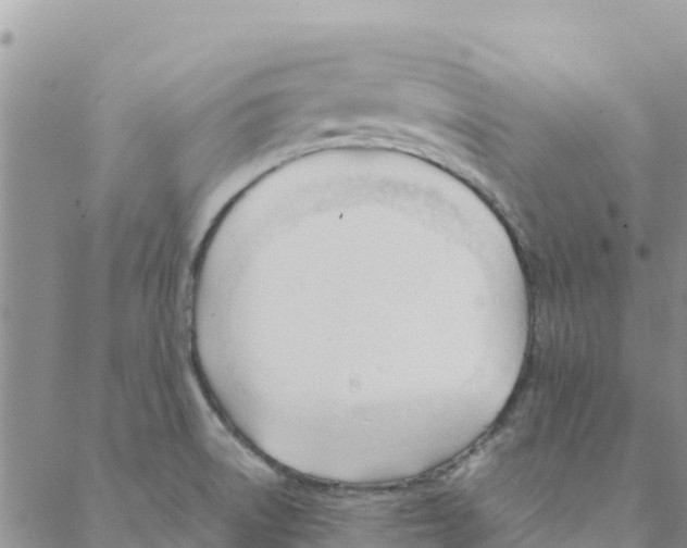 X0000088171522200706121613