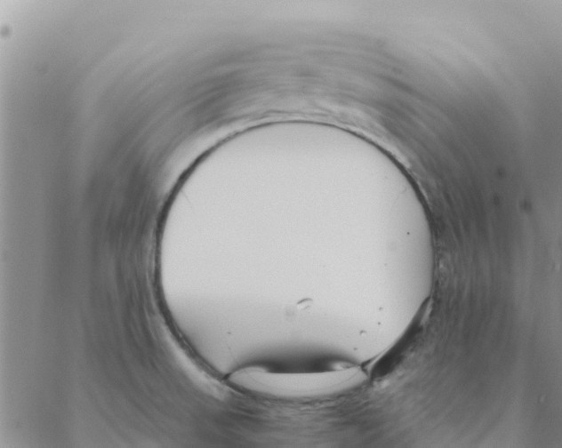 X0000088171523200706121613