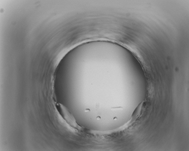 X0000088171524200706121613