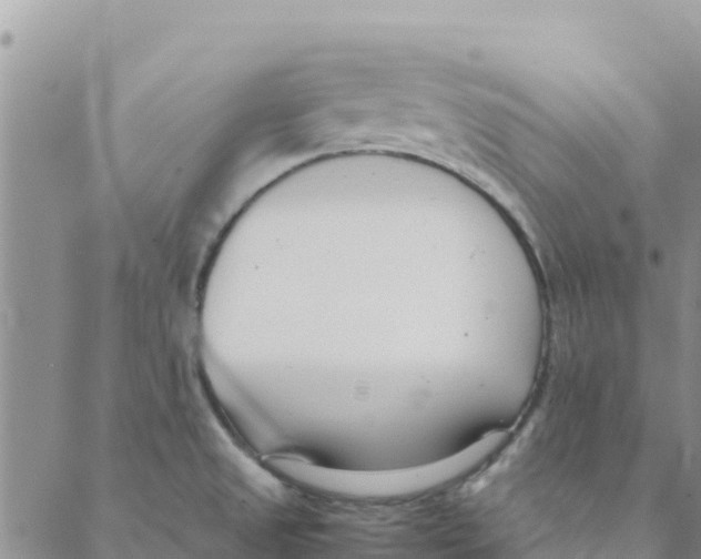 X0000088171525200706121613