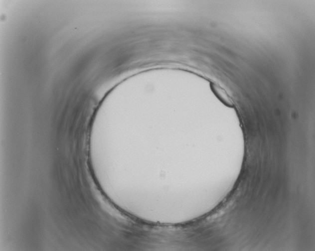 X0000088171526200706121613