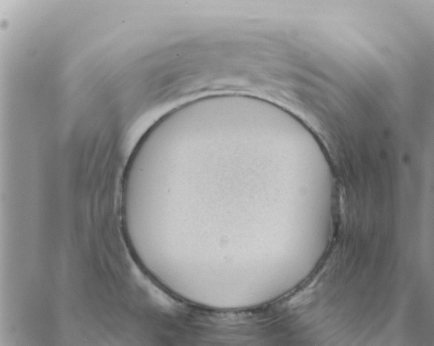 X0000088171527200706121613