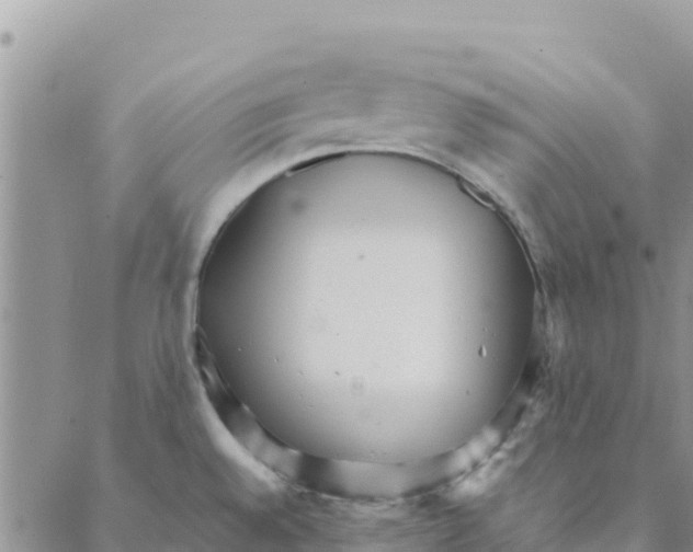 X0000088171528200706121613