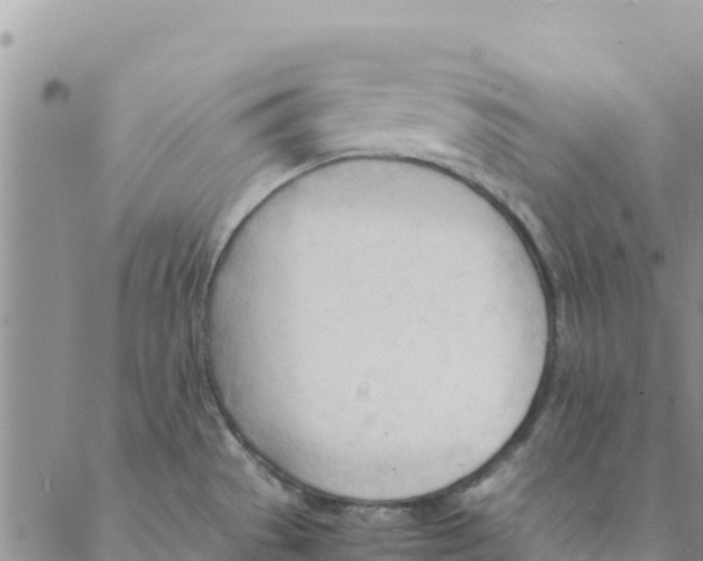 X0000088171529200706121613