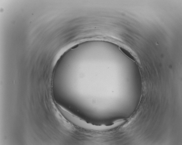 X0000088171530200706121613