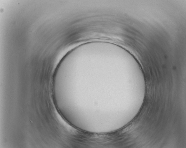 X0000088171531200706121613