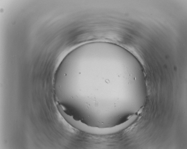 X0000088171532200706121613